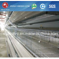4 Tiers Chicken Egg Cages with Automatic System